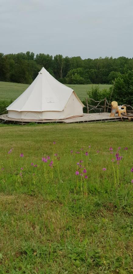 Camping La Petite Houmee Curzay-sur-Vonne Экстерьер фото